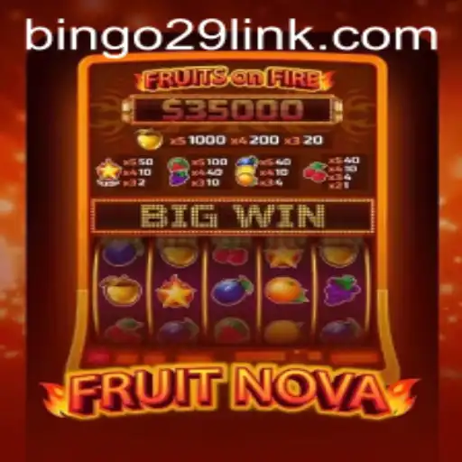 Exploring the Exciting World of FruitNova and Bingo29.COM